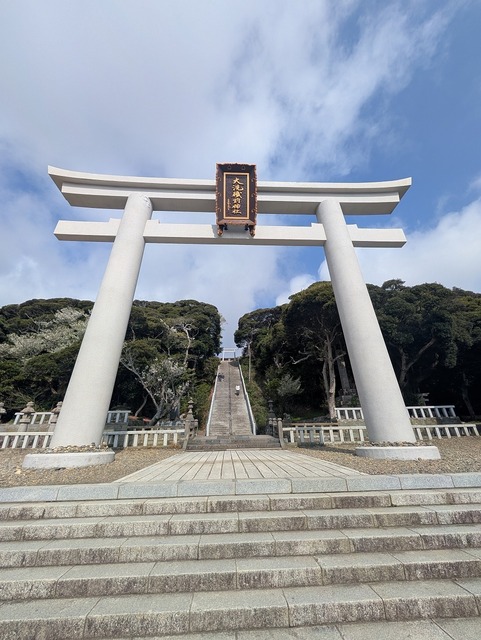 PXL_20250411_234249948.jpg