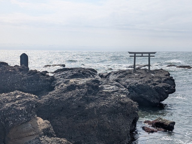 PXL_20250411_235620744.jpg